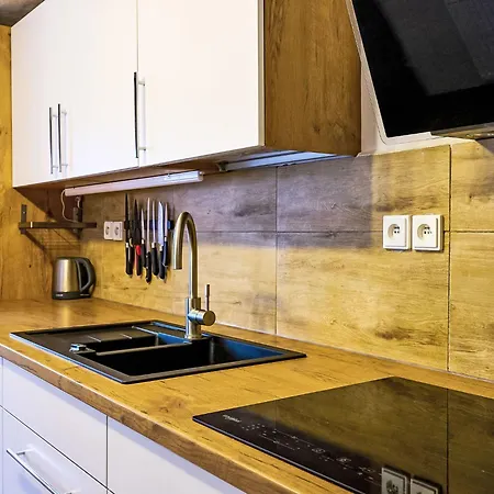 Tatil Evi Jizerka By Interhome Tanvald